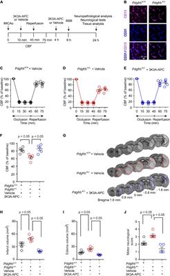 3K3A-Activated Protein C Protects the Blood-Brain Barrier and Neurons From Accelerated Ischemic Injury Caused by Pericyte Deficiency in Mice